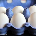 alt="eggs and obesity risk"