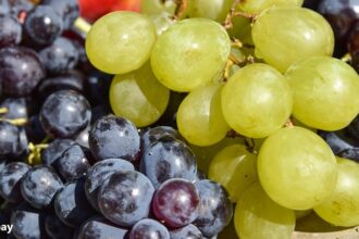 alt="health benefits of grapes resveratrol for women"