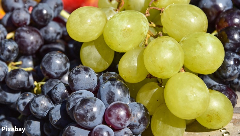 alt="health benefits of grapes resveratrol for women"