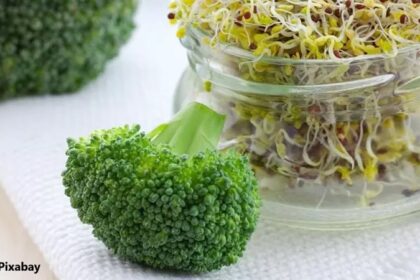 alt="Broccoli sprouts"