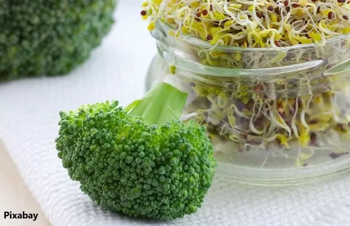 alt="Broccoli sprouts"